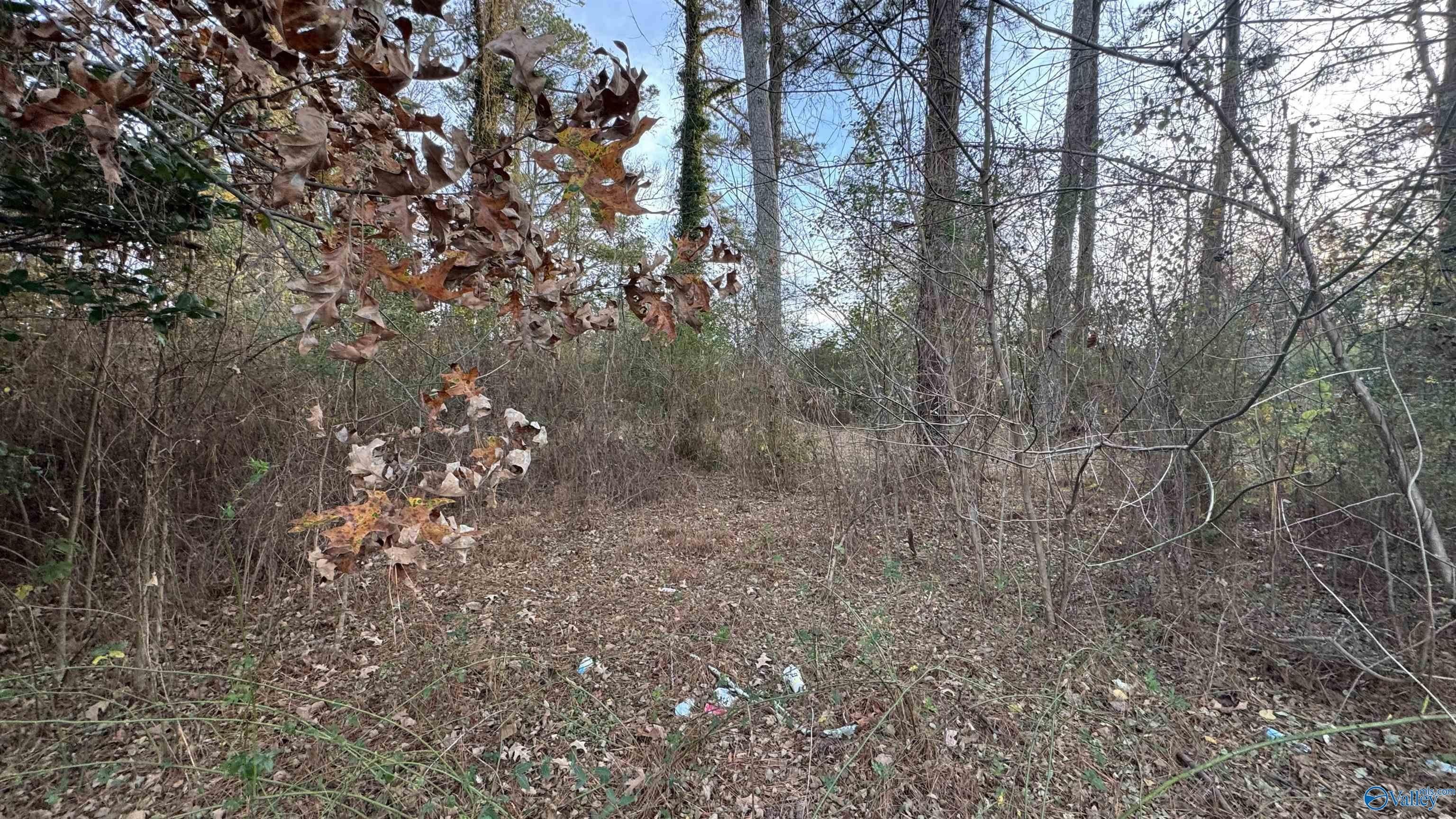 Commercial Lot in Rainbow City