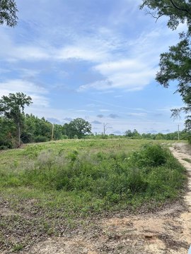 LAND, Opp, AL
