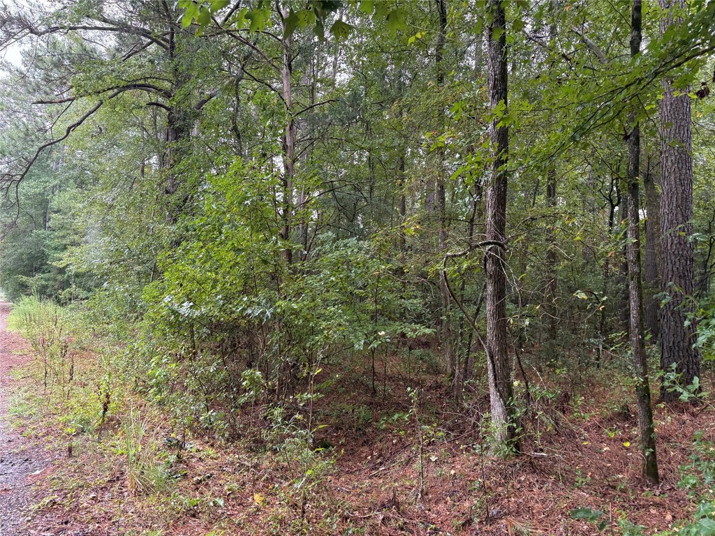 Picture 13