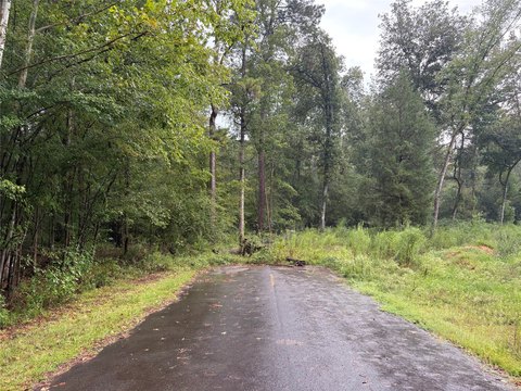 Wooded Recreational Land Tract