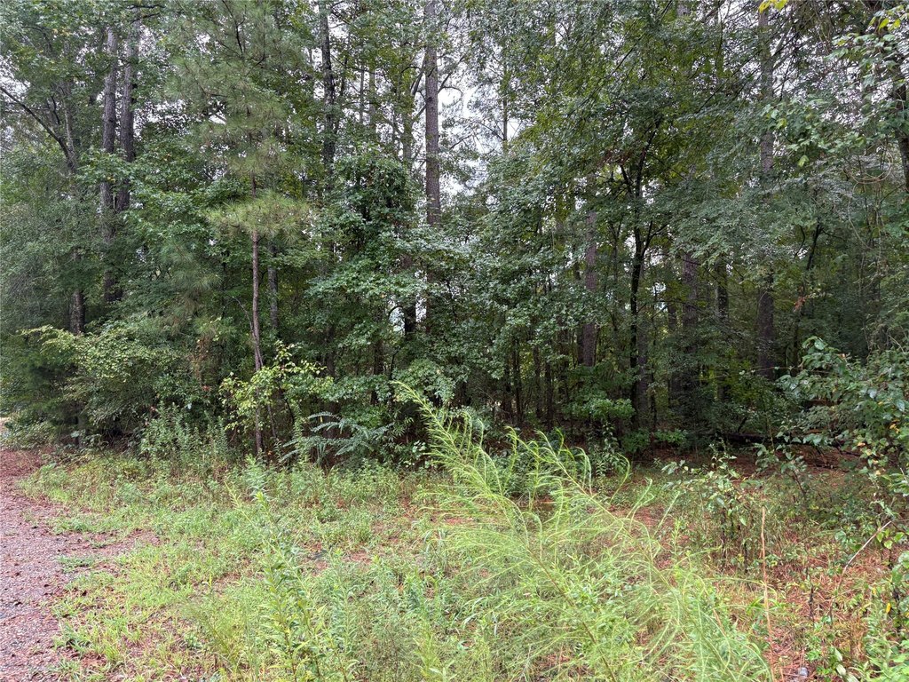 Picture 14