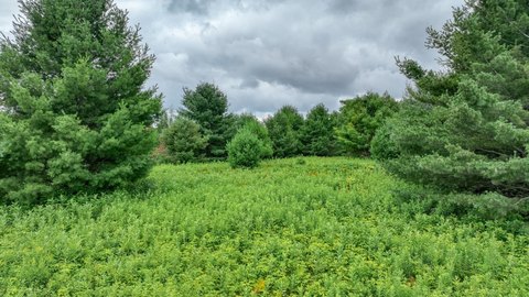 Recreational Hunting Land Tract