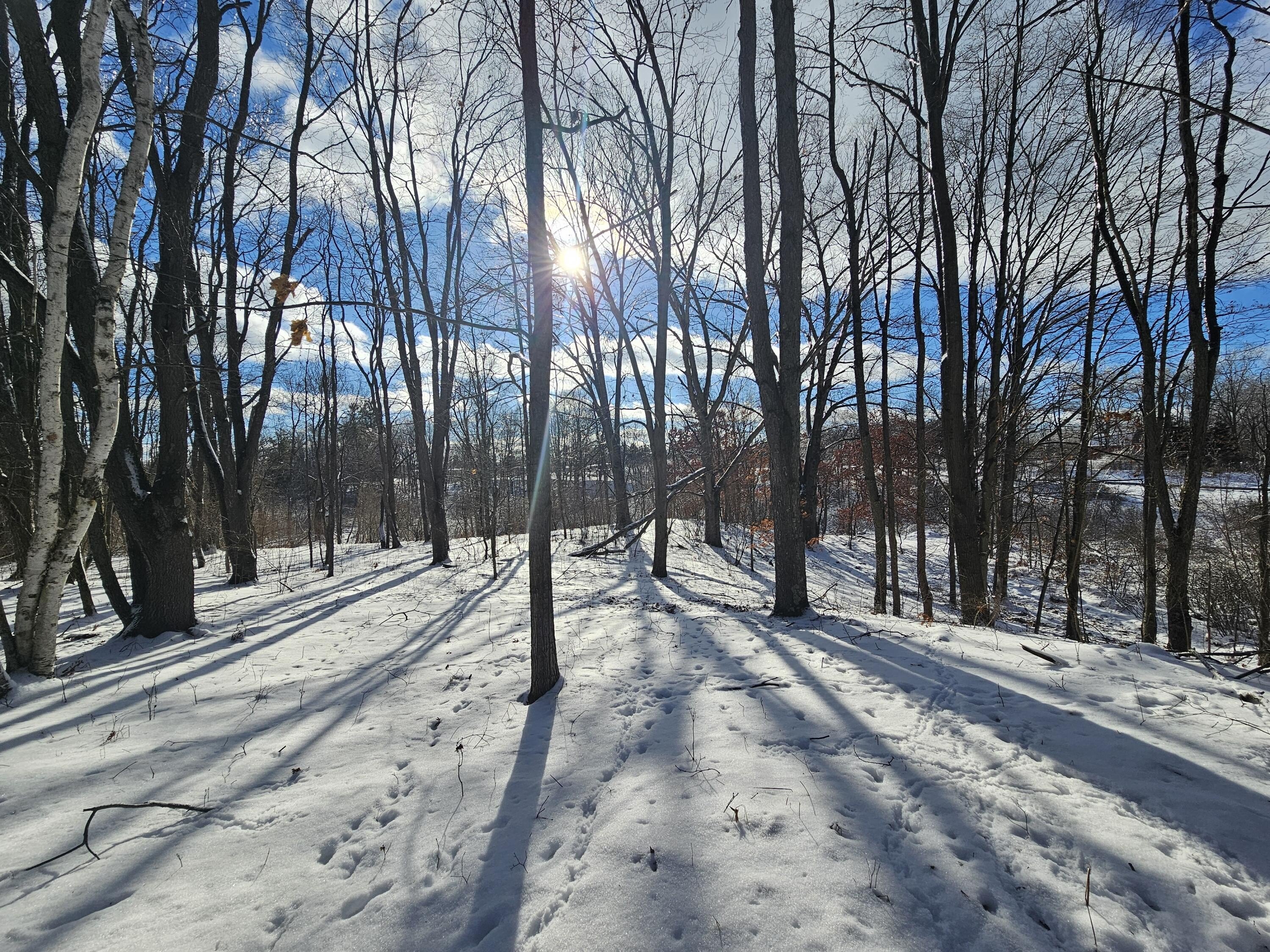 Gorgeous Wooded Acreage with Creek