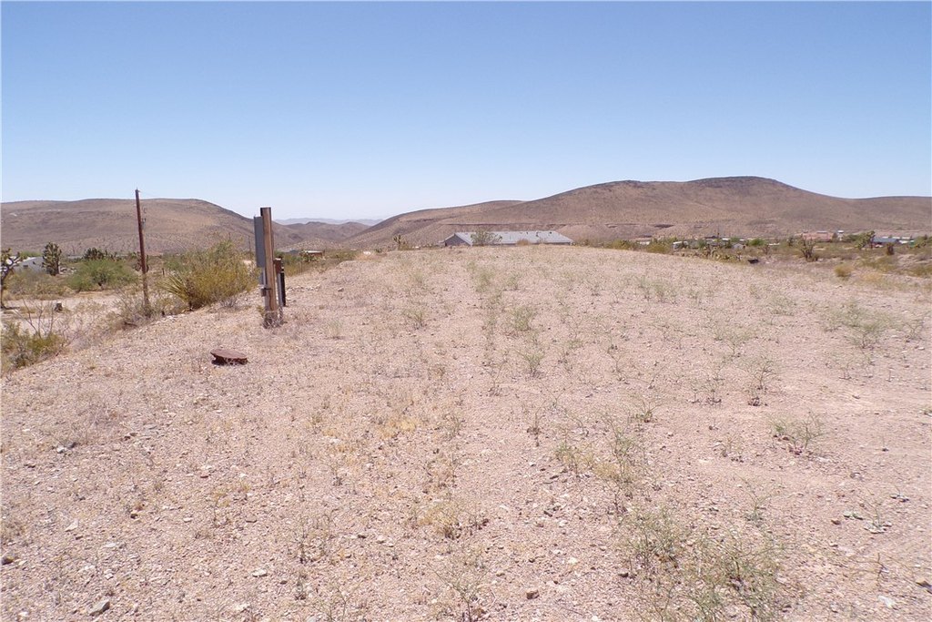 Picture 19