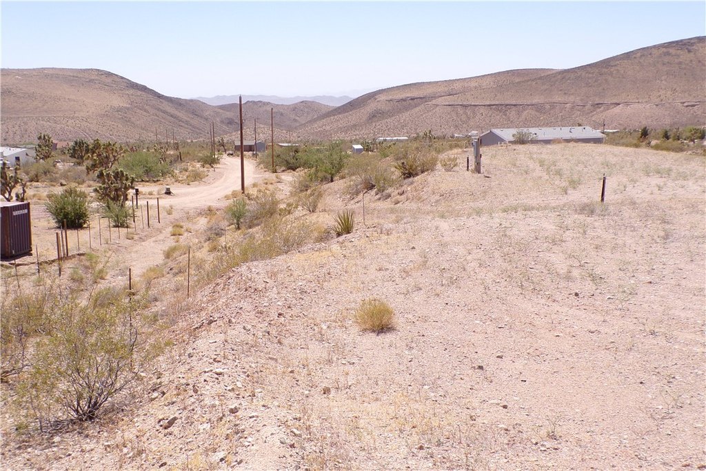 Picture 35
