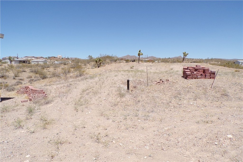 Picture 17