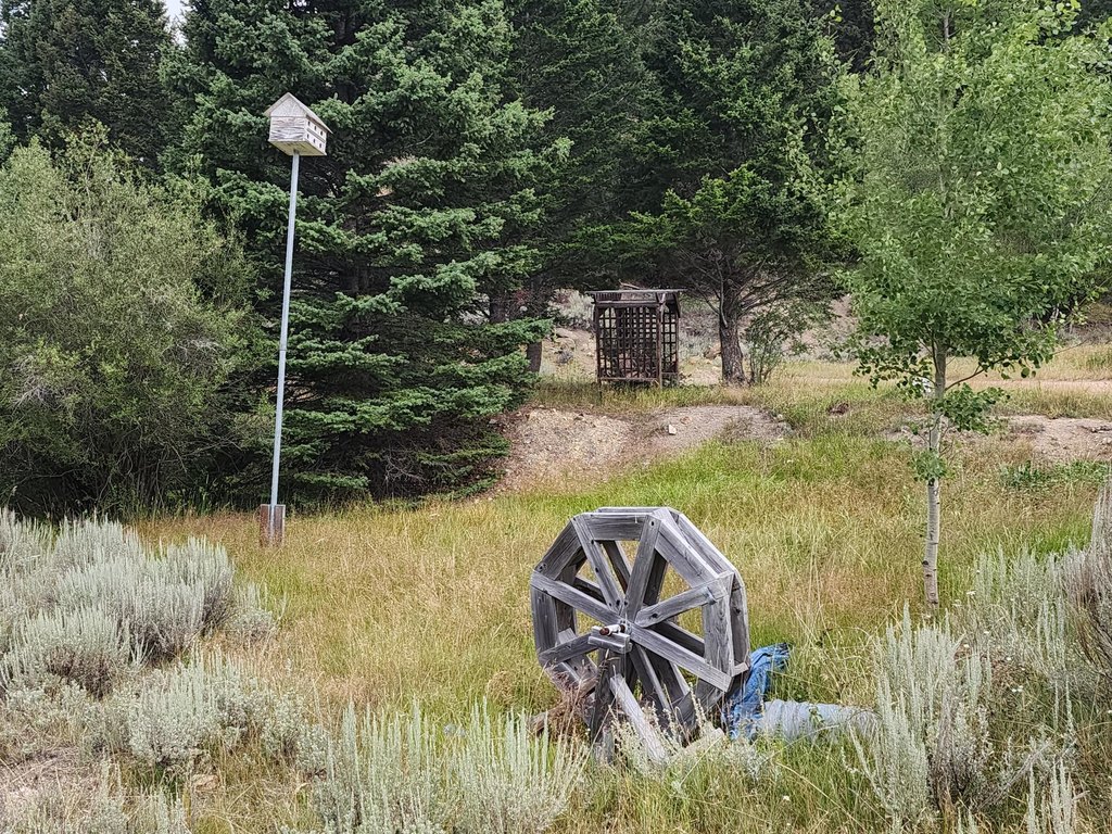 Picture 33