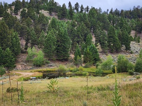 Land, Basin, MT