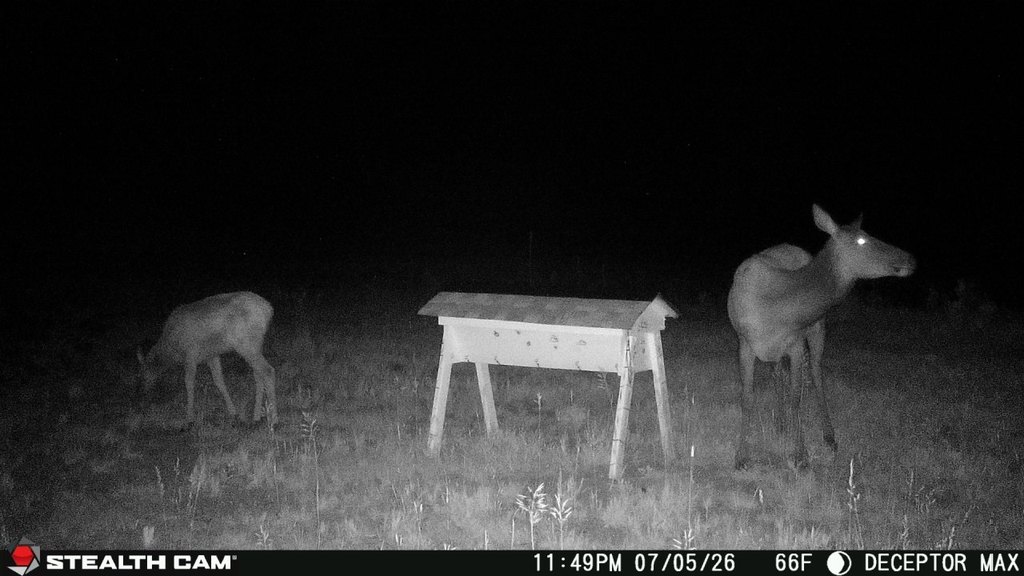 Picture 36