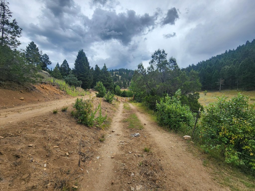 Picture 20