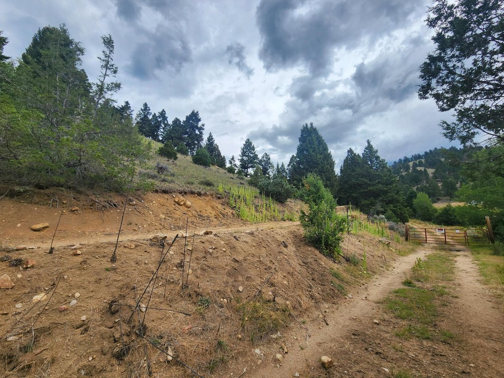 Picture 21
