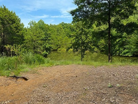 Vacant Land, Hartman, AR