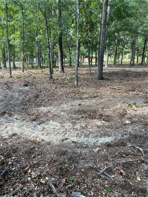 Picture 2