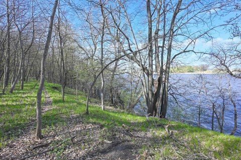 Wooded Land on Christopherson Lake