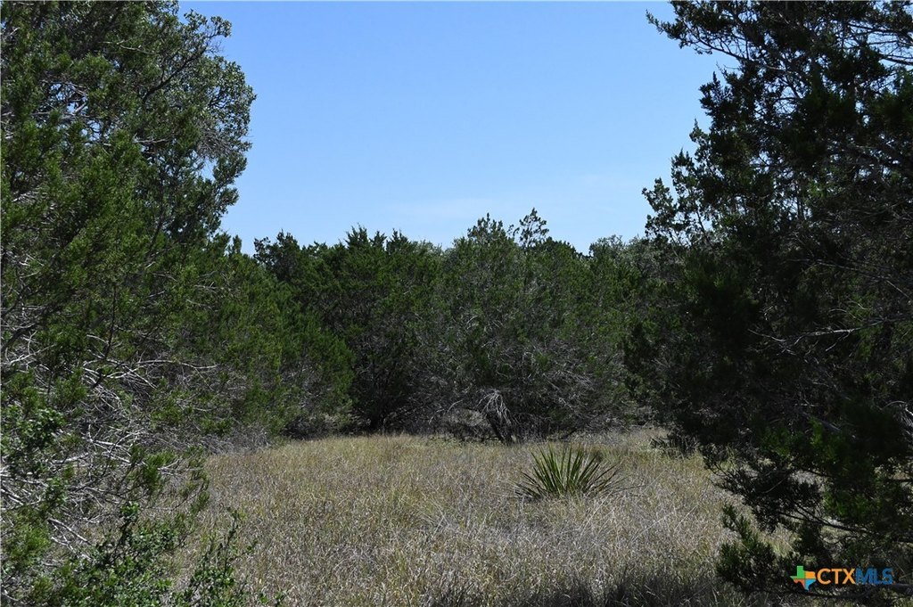 Picture 7