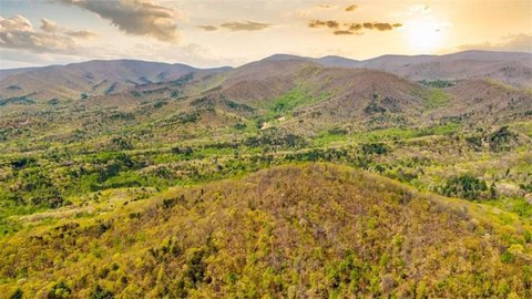 Ellijay Land with Mountain Views