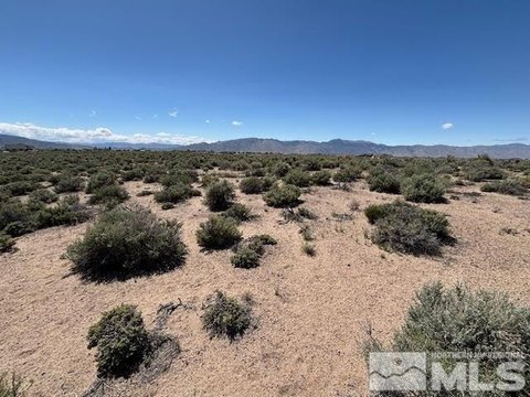 Smith Valley 5-Acre Land Parcel