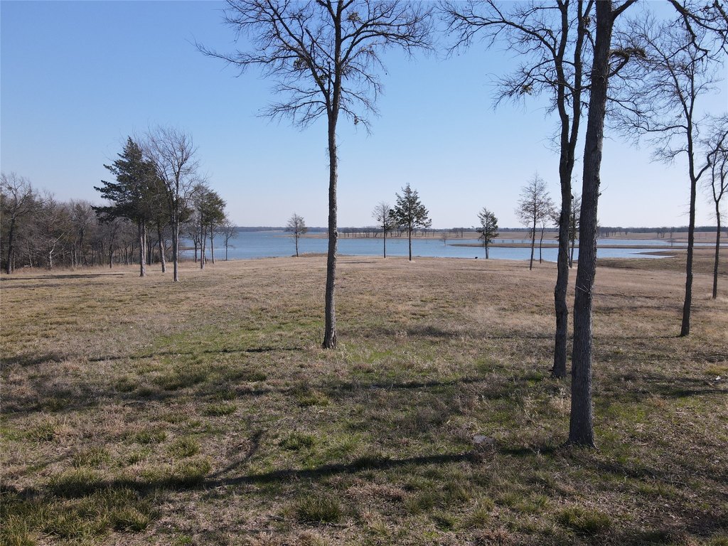 Picture 9