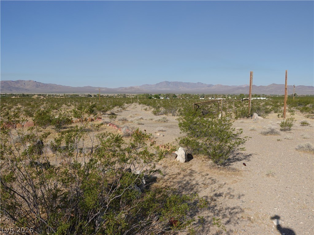 Picture 14