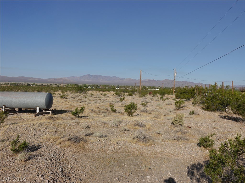Picture 19