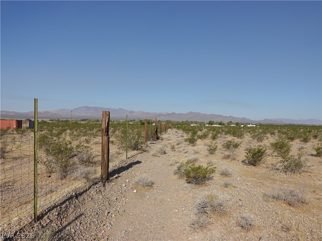 Picture 23