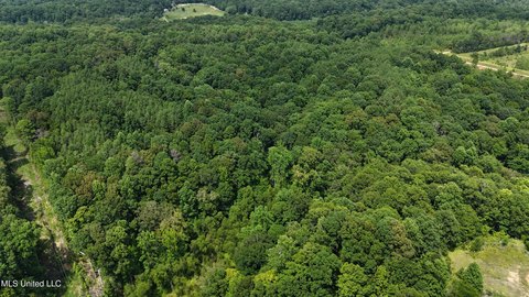 Land in Carroll County, MS