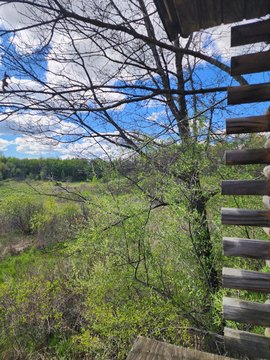 Residential Land in Ceresco, MI