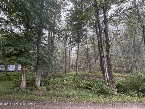 Land, Gouldsboro, PA