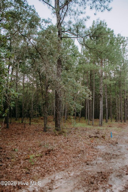 Picture 3