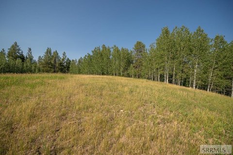Land in Ashton, Idaho