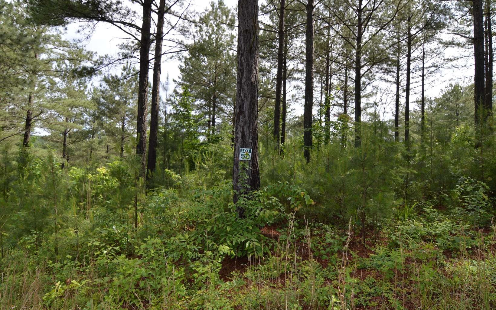 Blairsville, GA Vacant Land