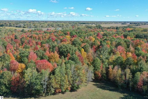 Vacant Lot/Land, Coleman, MI