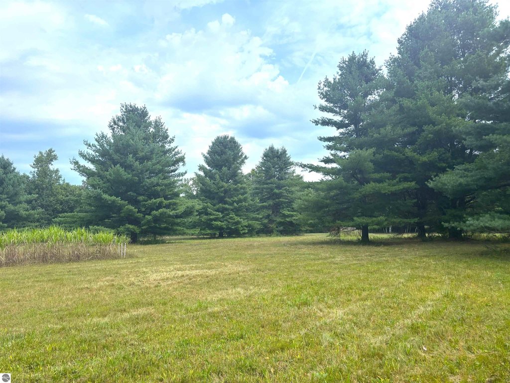 Picture 42
