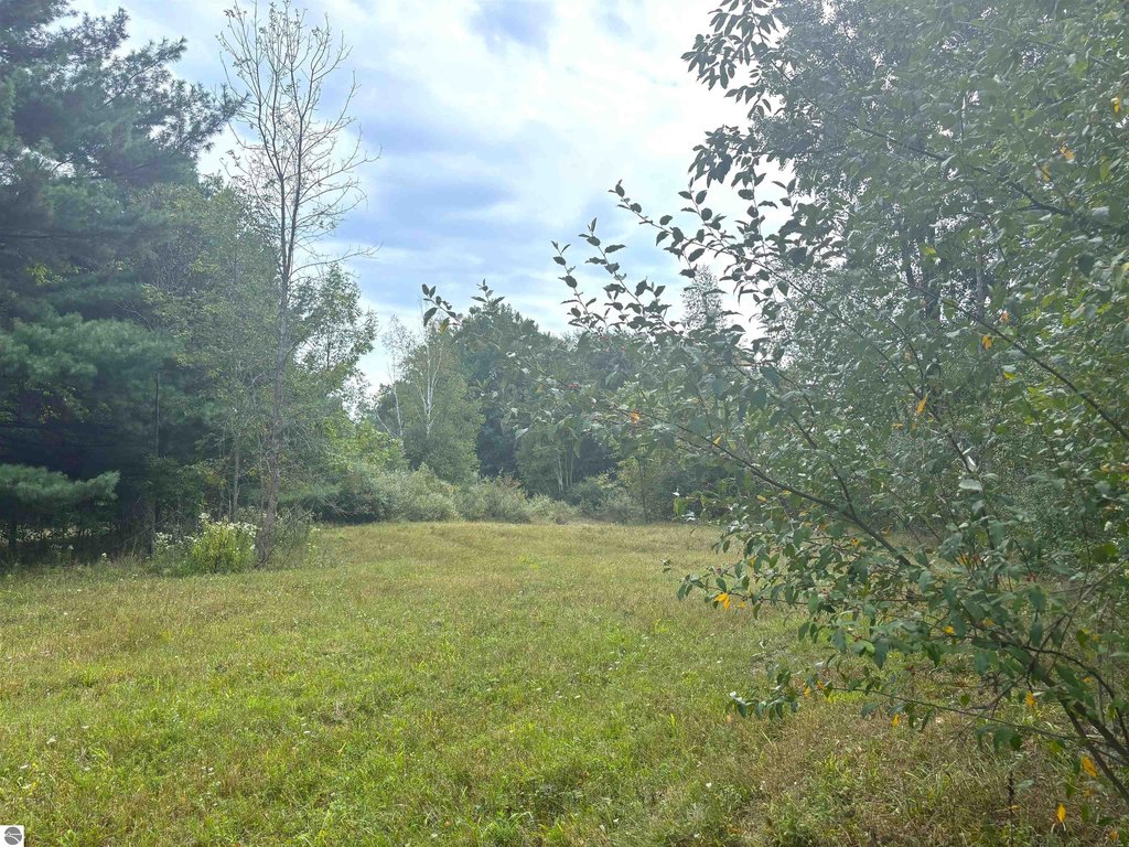 Picture 41