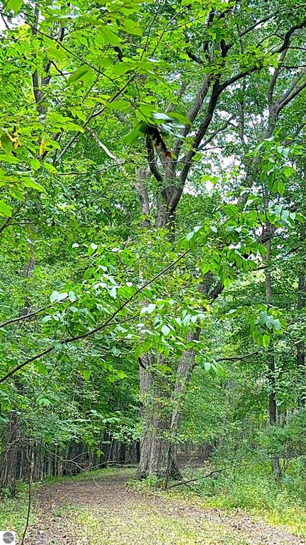 Picture 38