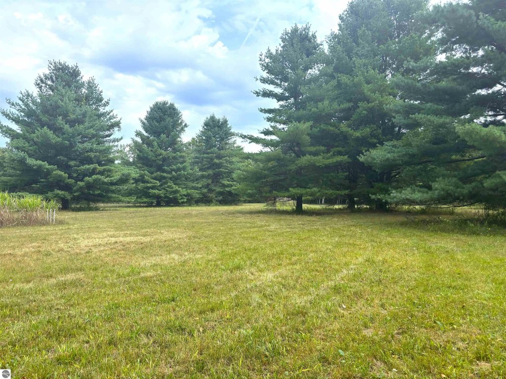 Picture 40