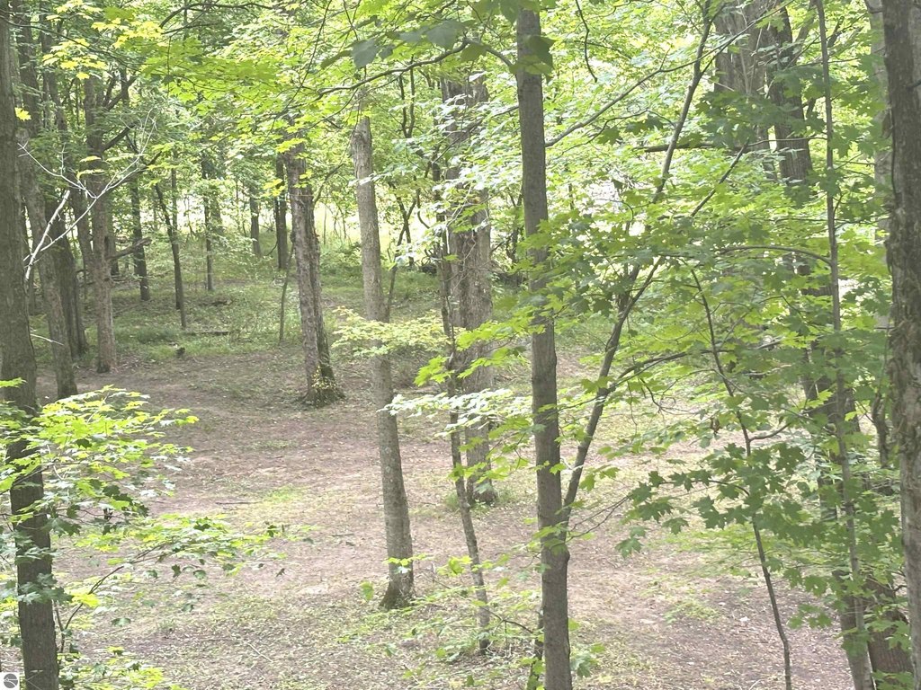 Picture 32