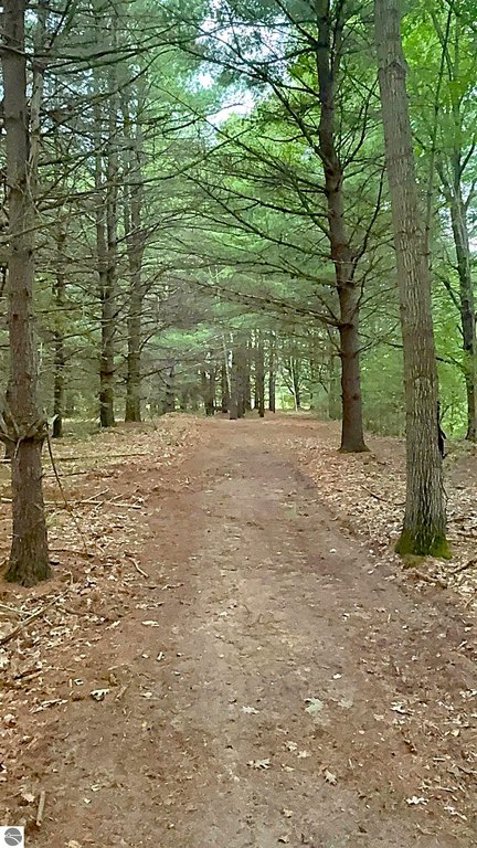 Picture 46