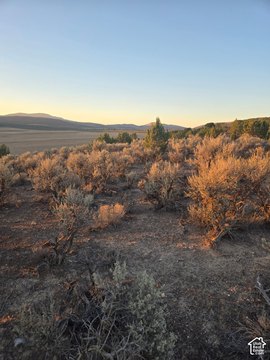 Agricultural Land