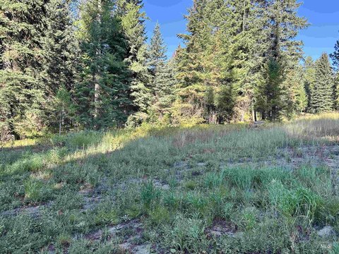 Wooded Homesite Near Lake Cascade