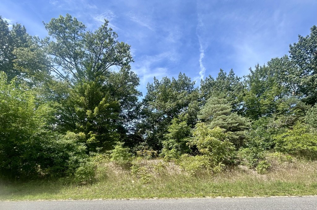 Picture 4