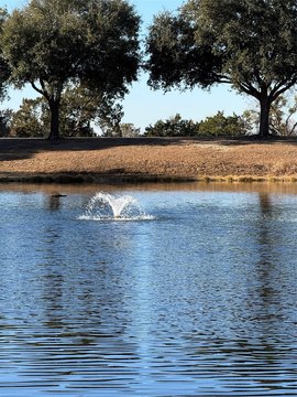 Pond Waterfront Homesite