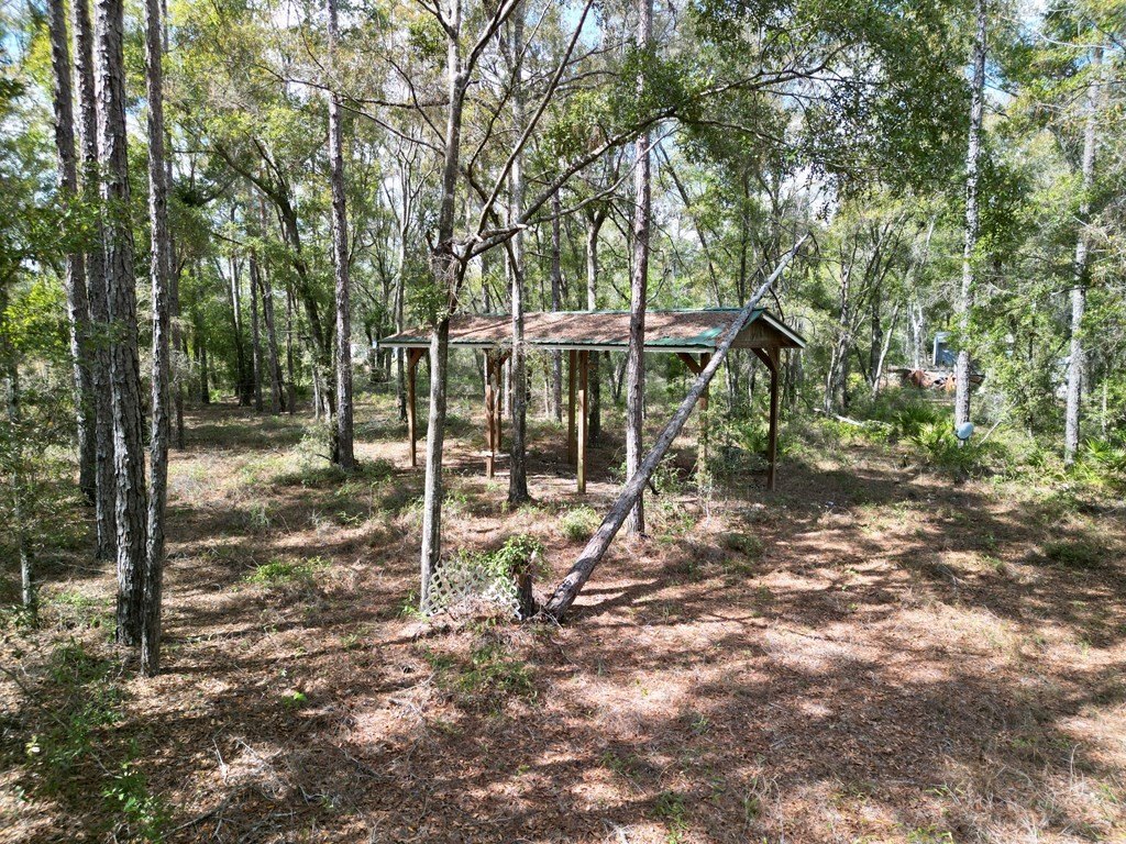 Picture 8