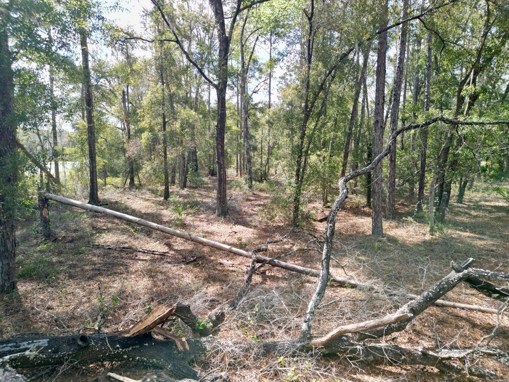 Picture 25