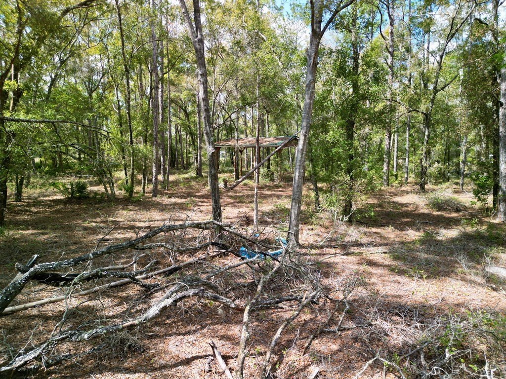 Picture 26