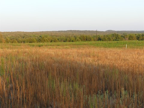 Nocona, TX Unimproved Land