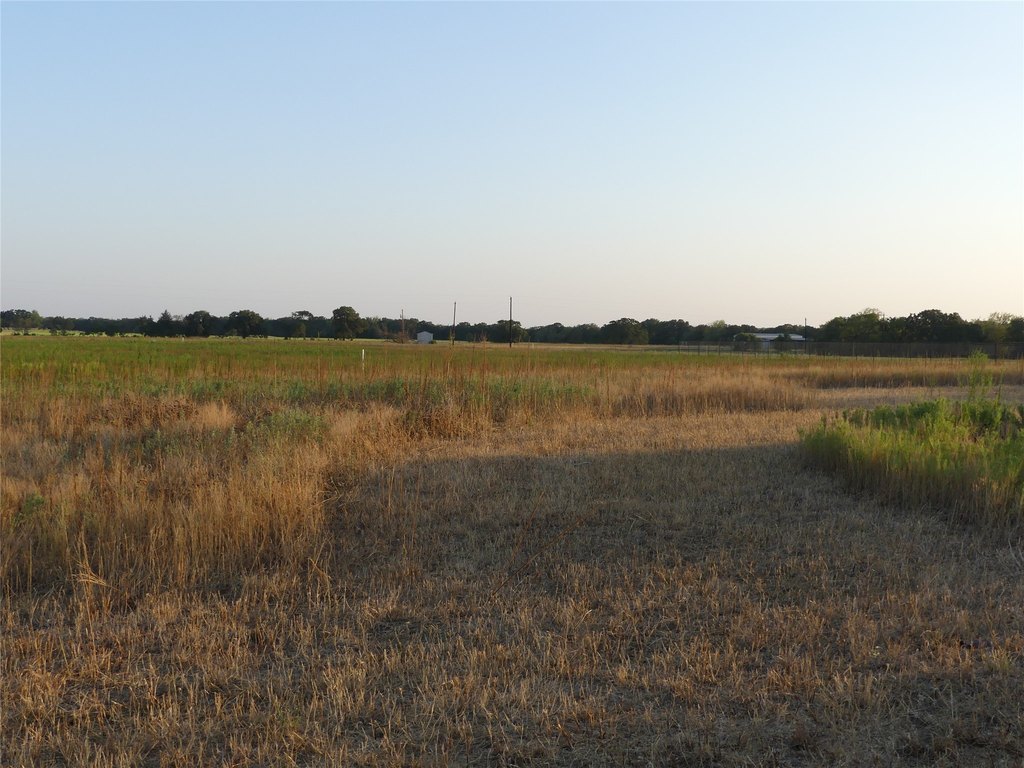 Picture 13