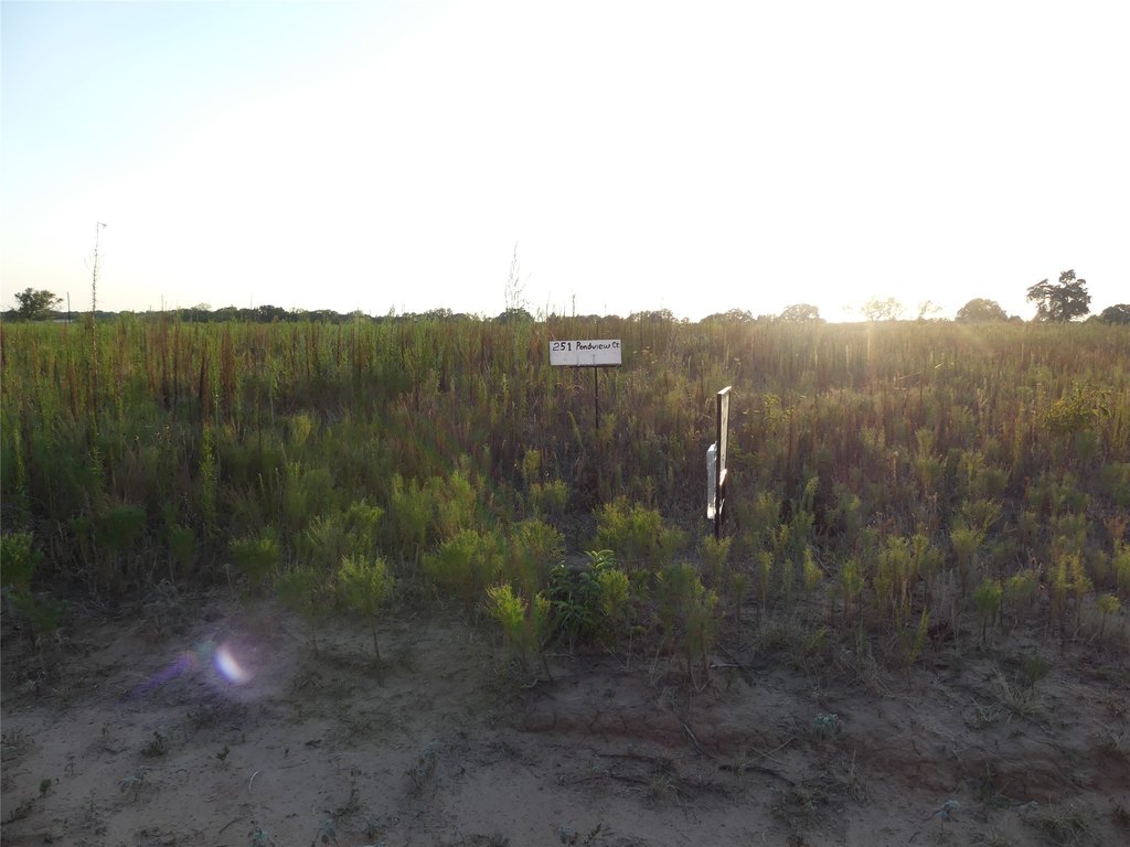 Picture 15