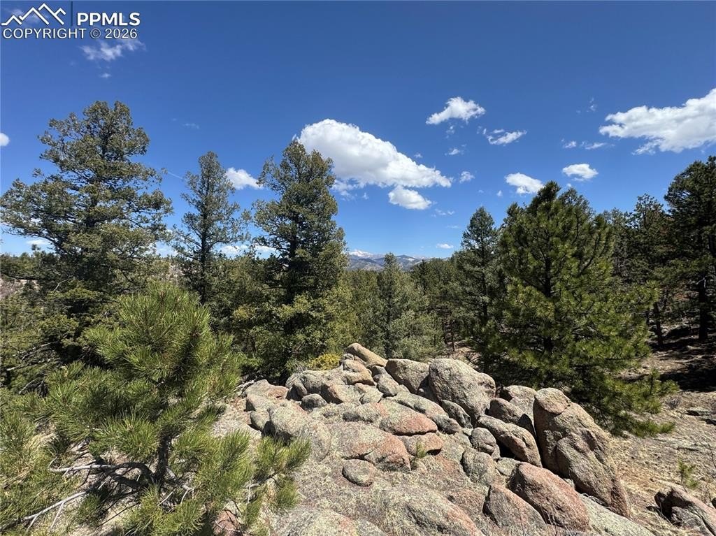 20 Acres in Bear Trap