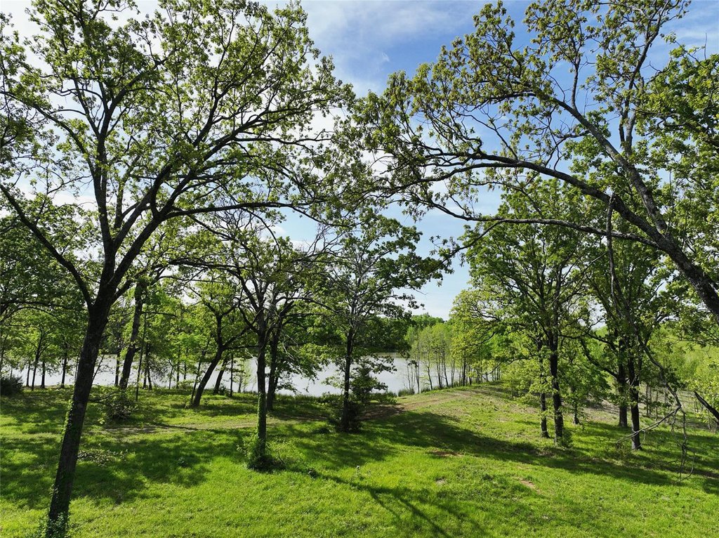 Picture 32